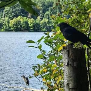 Meet your Posher, Fern